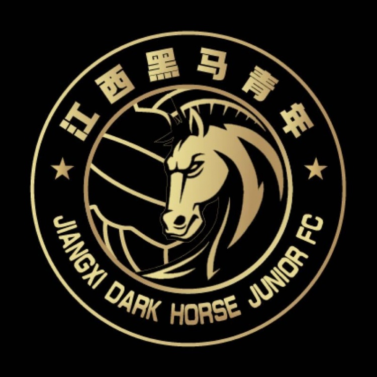  官方：江西黑馬青年完成異地遷移程序，更名為溫州職業(yè)足球俱樂部